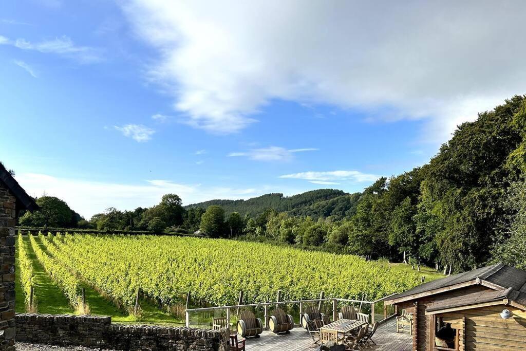 Vineyard Country Cottage Llanerch-Aeron Экстерьер фото